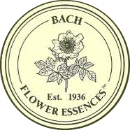 Bach-Blüten von Eduard Bach